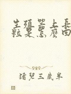 生殖器上长肉颗粒是怎么回事