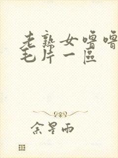 老熟女噜噜av毛片一区