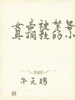 女帝被拿各种刑具调教的小说