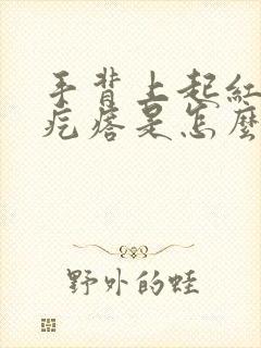 手背上起红色小疙瘩是怎么回事