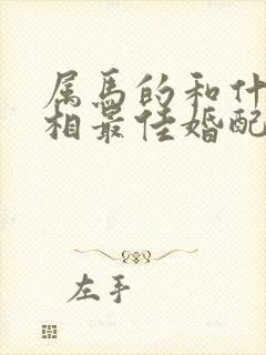 属马的和什么属相最佳婚配