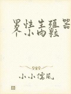 男性生殖器长几个小肉粒