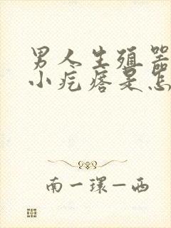 男人生殖器长满小疙瘩是怎么回事