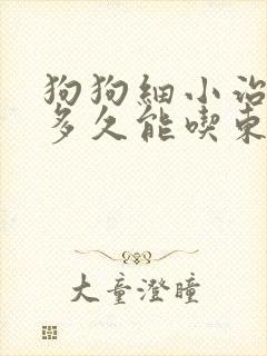 狗狗细小治疗后多久能吃东西