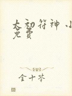 太初符神 小说免费封面