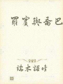 罗宾与乔巴本子