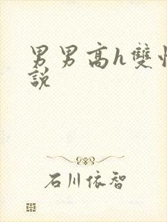 男男高h双性小说