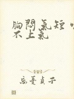 胸闷 气短 喘不上气