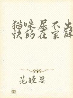 猫咪尿不出来最快的在家解决办法