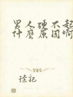 男人硬不起来是什么原因啊封面