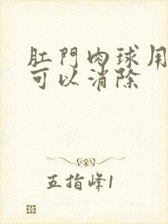 肛门肉球用什么可以消除