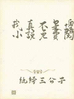 我真不是傻子了小说免费阅读全文