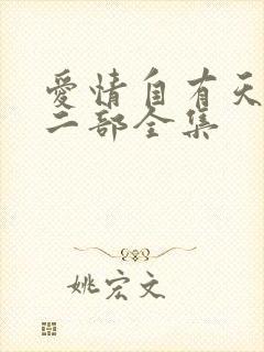 爱情自有天意第二部全集