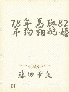 78年马与82年狗相配婚姻如何
