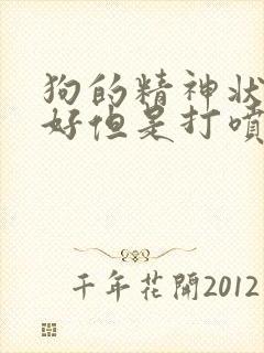 狗的精神状态很好但是打喷嚏流鼻涕