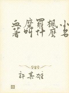 血魔罗枫小说原著叫什么名字