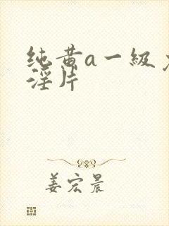 纯黄a一级免费淫片封面