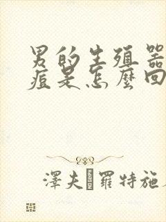 男的生殖器长痘痘是怎么回事