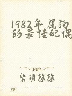1982年属狗的最佳配偶属相封面