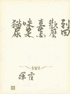 猫咪喜欢到处拉尿是怎么回事