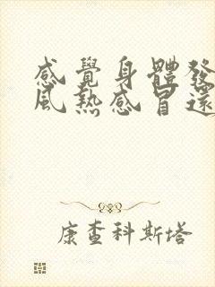 感觉身体发冷是风热感冒还是风寒感冒