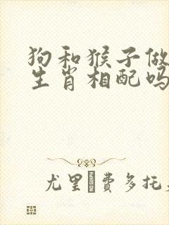 狗和猴子做夫妻生肖相配吗封面