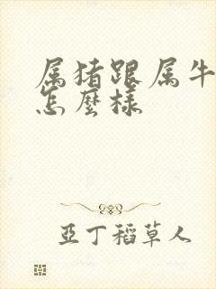 属猪跟属牛姻缘怎么样