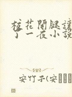 校花开腿让我爽了一夜小说