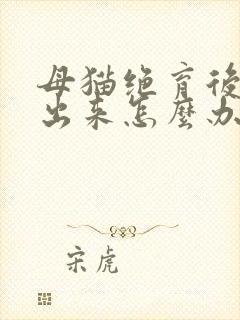 母猫绝育后尿不出来怎么办封面