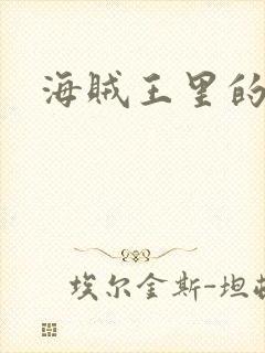 海贼王里的娜美