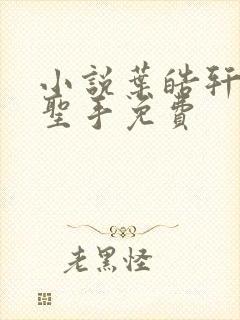 小说叶皓轩妙医圣手免费