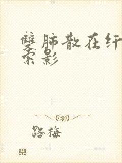 双肺散在纤维条索影