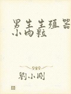 男生生殖器上长小肉粒