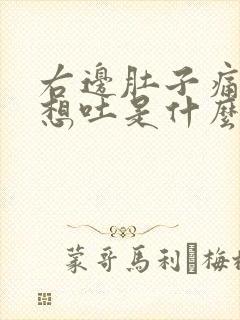 右边肚子痛有点想吐是什么原因