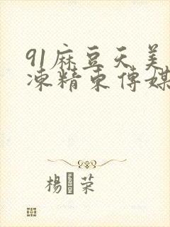 91麻豆天美果冻精东传媒