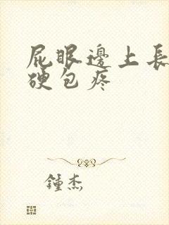 屁眼边上长了个硬包疼