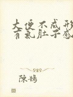 大便不成形排便有气肚子感觉胀