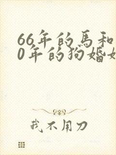 66年的马和70年的狗婚姻怎么样