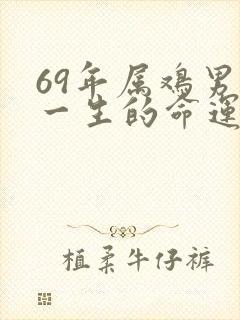 69年属鸡男人一生的命运封面