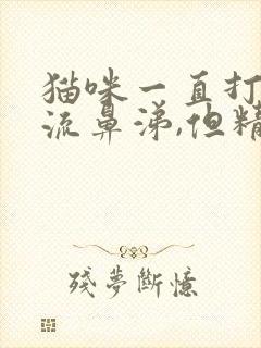 猫咪一直打喷嚏流鼻涕,但精神很好