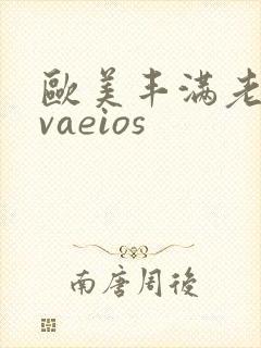 欧美丰满老熟女vaeios