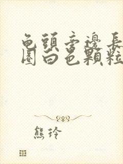 龟头旁边长了一圈白色颗粒状