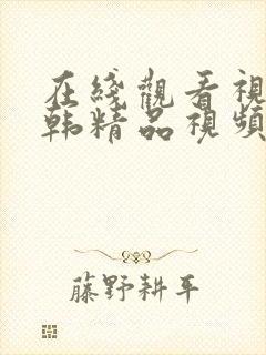 在线观看视频日韩精品视频日韩精品