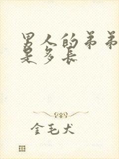 男人的弟弟正常是多长