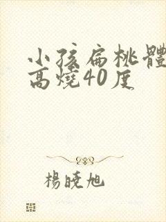 小孩扁桃体化脓高烧40度