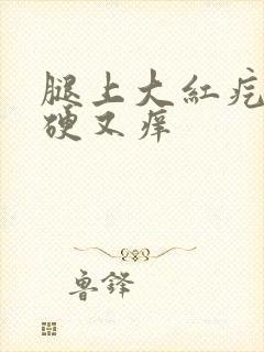 腿上大红疙瘩又硬又痒