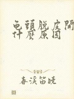 龟头脱皮开裂是什么原因封面