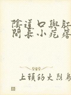 阴道口与肛门之间长小疙瘩