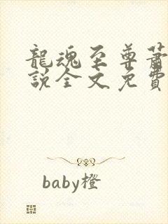 龙魂至尊萧琰小说全文免费阅读