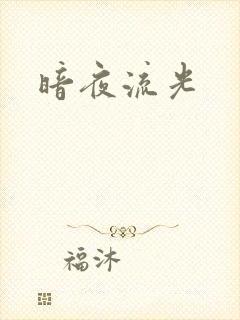 暗夜流光